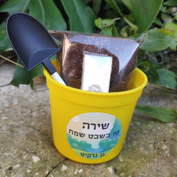 ערכת שתילה לקטנטנים